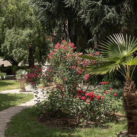 Residence Midi Mazamet Bagian luar foto
