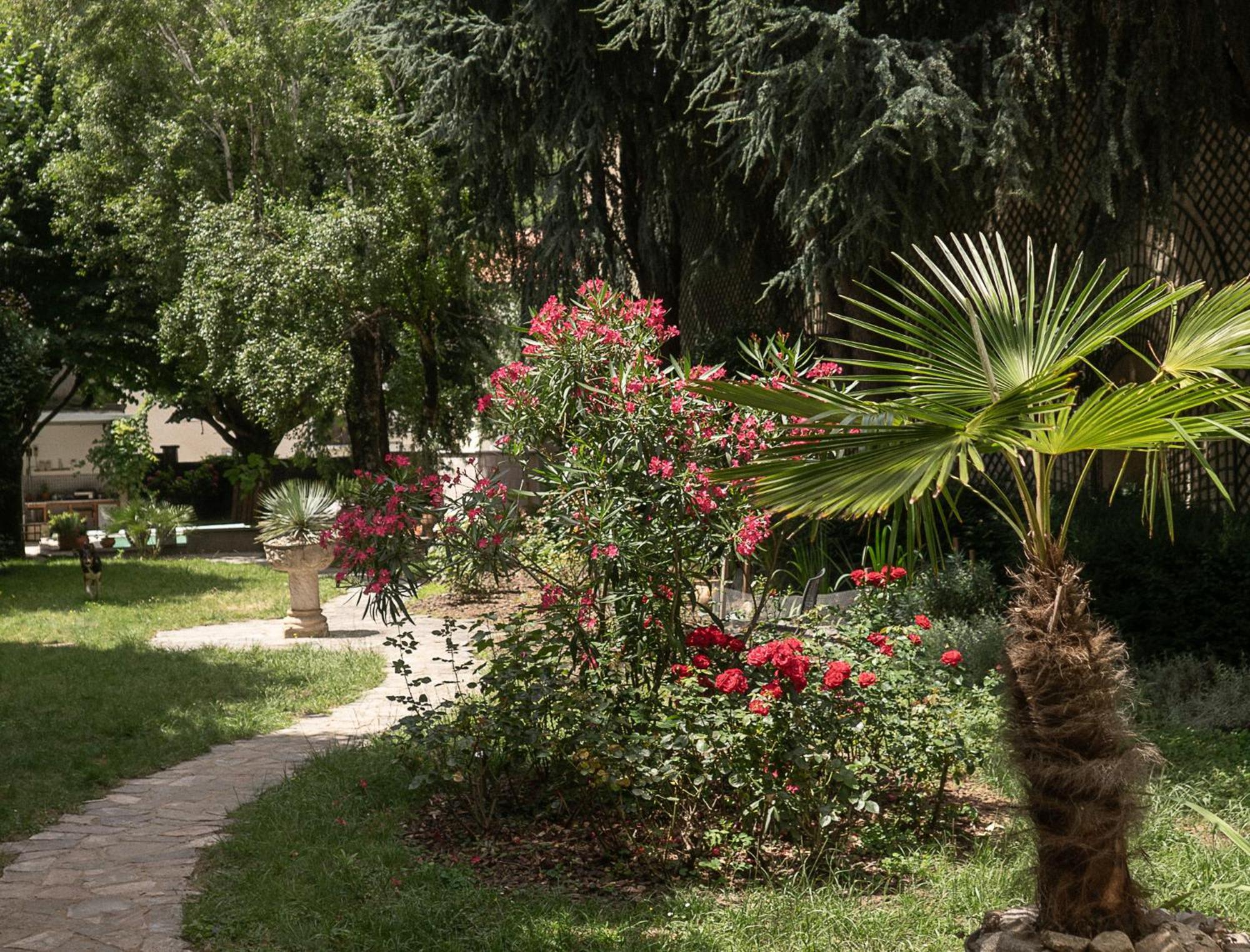 Residence Midi Mazamet Bagian luar foto